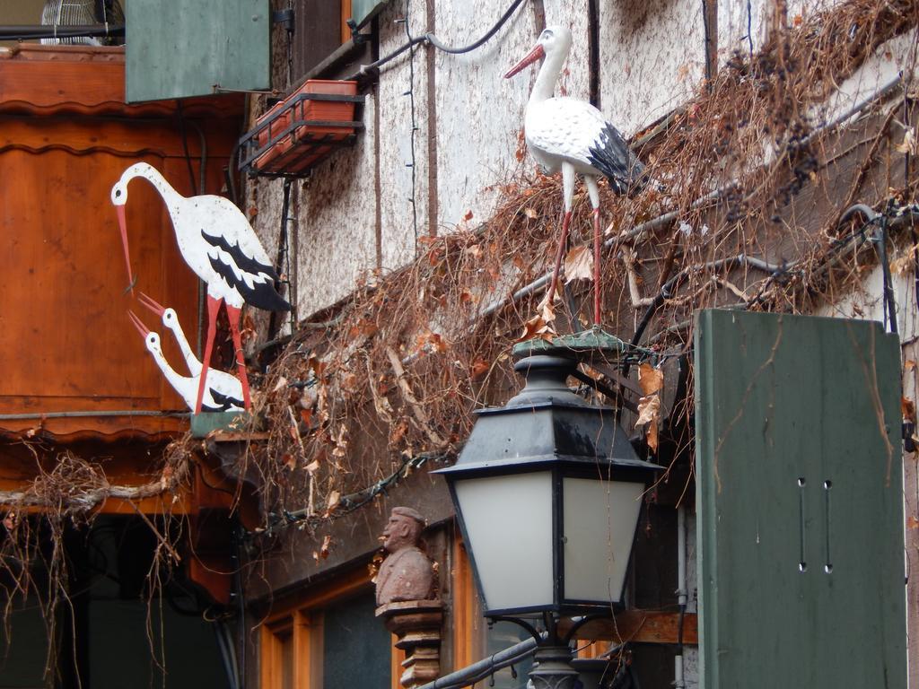 Le Gite Colmar Exteriér fotografie